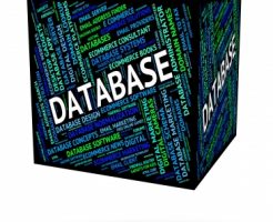 database18082902